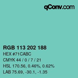 カラーコード: RGB 113 202 188 | qconv.com