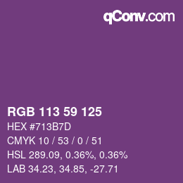 Color code: RGB 113 59 125 | qconv.com