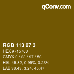 カラーコード: RGB 113 87 3 | qconv.com