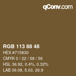 カラーコード: RGB 113 88 48 | qconv.com