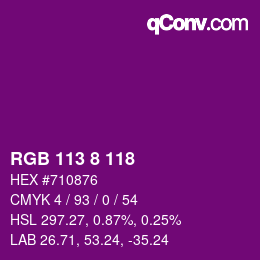 Color code: RGB 113 8 118 | qconv.com