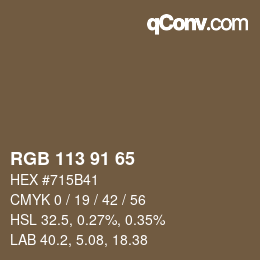Farbcode: RGB 113 91 65 | qconv.com