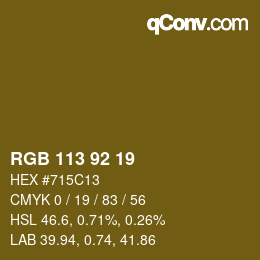 Color code: RGB 113 92 19 | qconv.com