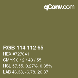 Código de color: RGB 114 112 65 | qconv.com