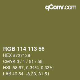 Color code: RGB 114 113 56 | qconv.com