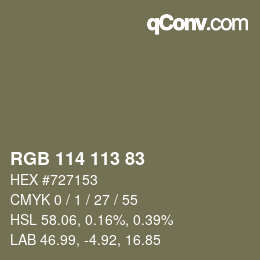 Color code: RGB 114 113 83 | qconv.com