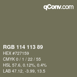 Color code: RGB 114 113 89 | qconv.com