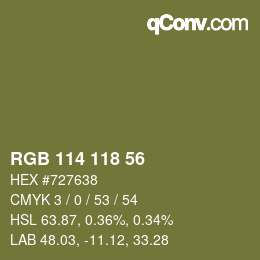 Color code: RGB 114 118 56 | qconv.com
