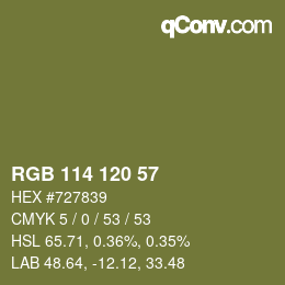 Color code: RGB 114 120 57 | qconv.com