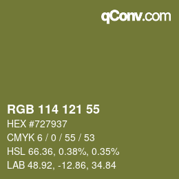 カラーコード: RGB 114 121 55 | qconv.com