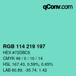 Color code: RGB 114 219 197 | qconv.com