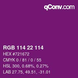 Color code: RGB 114 22 114 | qconv.com