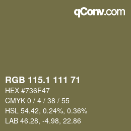 カラーコード: RGB 115.1 111 71 | qconv.com