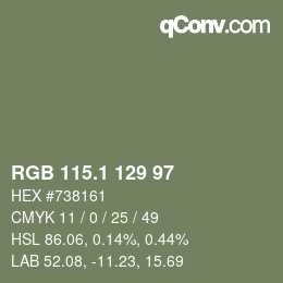 カラーコード: RGB 115.1 129 97 | qconv.com