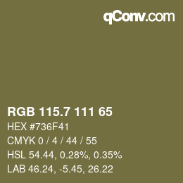 カラーコード: RGB 115.7 111 65 | qconv.com