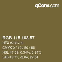 颜色代码: RGB 115 103 57 | qconv.com