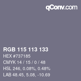 Color code: RGB 115 113 133 | qconv.com
