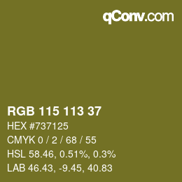 Color code: RGB 115 113 37 | qconv.com