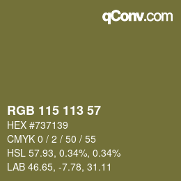 カラーコード: RGB 115 113 57 | qconv.com
