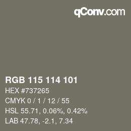 颜色代码: RGB 115 114 101 | qconv.com