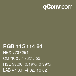 Farbcode: RGB 115 114 84 | qconv.com