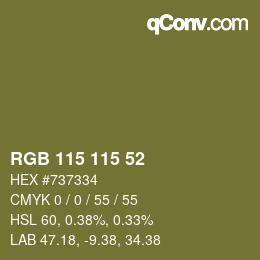 Code couleur: RGB 115 115 52 | qconv.com