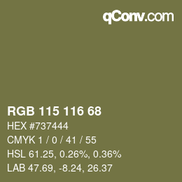 Código de color: RGB 115 116 68 | qconv.com