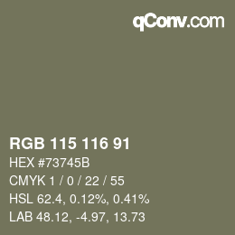 Color code: RGB 115 116 91 | qconv.com