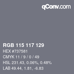 Color code: RGB 115 117 129 | qconv.com