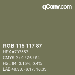 Farbcode: RGB 115 117 87 | qconv.com