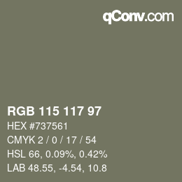 Color code: RGB 115 117 97 | qconv.com