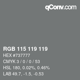 カラーコード: RGB 115 119 119 | qconv.com