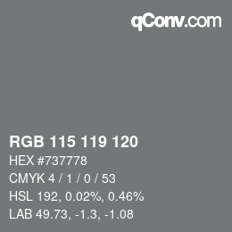 Color code: RGB 115 119 120 | qconv.com