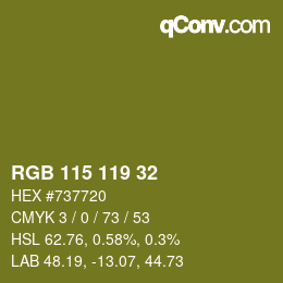 カラーコード: RGB 115 119 32 | qconv.com