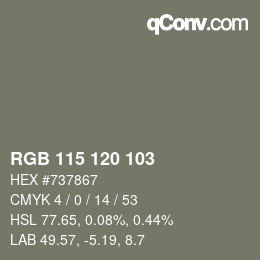 颜色代码: RGB 115 120 103 | qconv.com