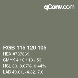 颜色代码: RGB 115 120 105 | qconv.com