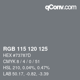 Color code: RGB 115 120 125 | qconv.com