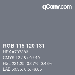 カラーコード: RGB 115 120 131 | qconv.com