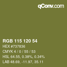 Color code: RGB 115 120 54 | qconv.com