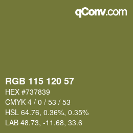 カラーコード: RGB 115 120 57 | qconv.com