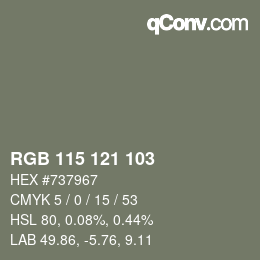 Color code: RGB 115 121 103 | qconv.com