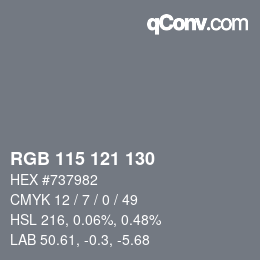颜色代码: RGB 115 121 130 | qconv.com