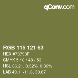 Farbcode: RGB 115 121 63 | qconv.com