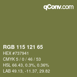 Color code: RGB 115 121 65 | qconv.com