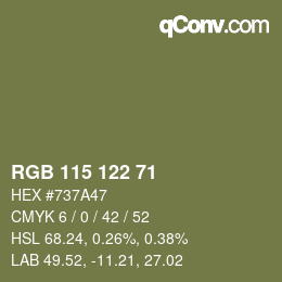 カラーコード: RGB 115 122 71 | qconv.com