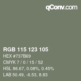 Color code: RGB 115 123 105 | qconv.com