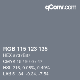 カラーコード: RGB 115 123 135 | qconv.com