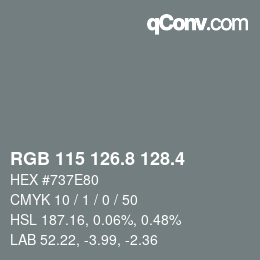 カラーコード: RGB 115 126.8 128.4 | qconv.com