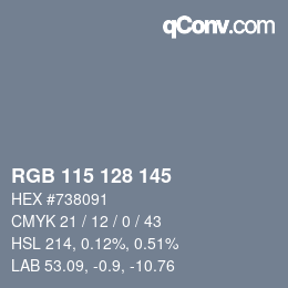 Color code: RGB 115 128 145 | qconv.com