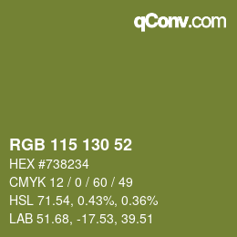 カラーコード: RGB 115 130 52 | qconv.com